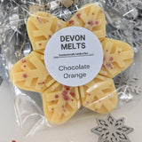 Large Snowflake - £2.75