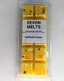 Daffodil Fields - £3.50