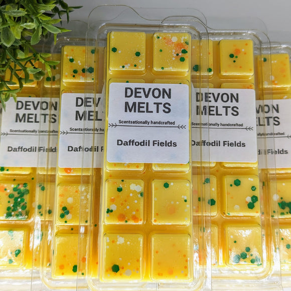 Daffodil Fields - £3.50