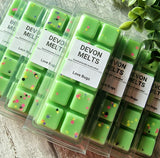 Love Bugs - £3.50
