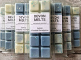 Lenny Frosted Eucalyptus - £3.50