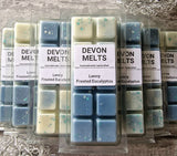 Lenny Frosted Eucalyptus - £3.50