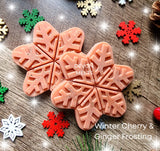 Snowflake Snaps £1.00